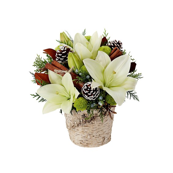 Winter Forest Splendor flower arrangements (BF372-11KM)